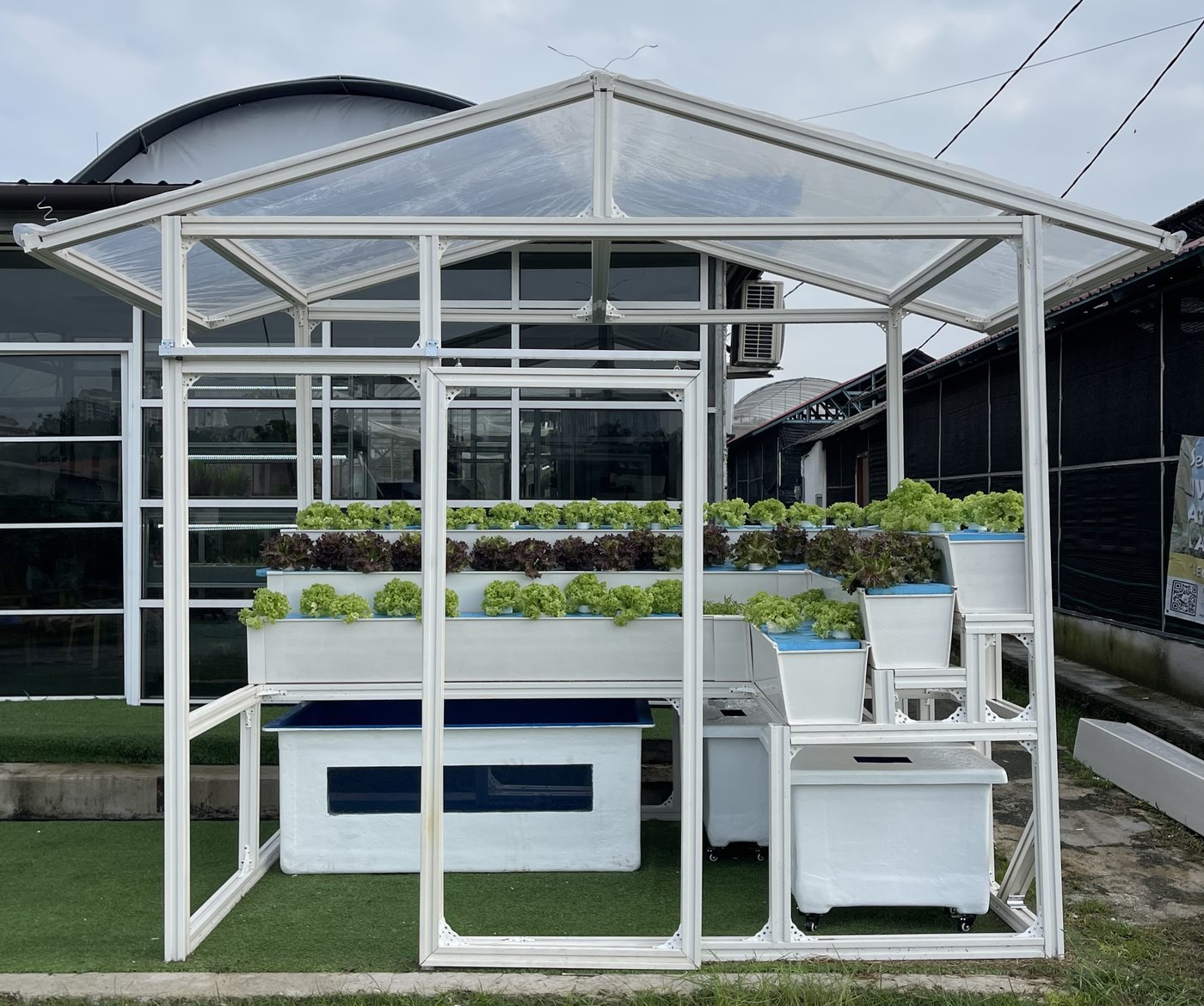 A white-frame outdoor aquaponics greenhouse module with lettuce grow beds