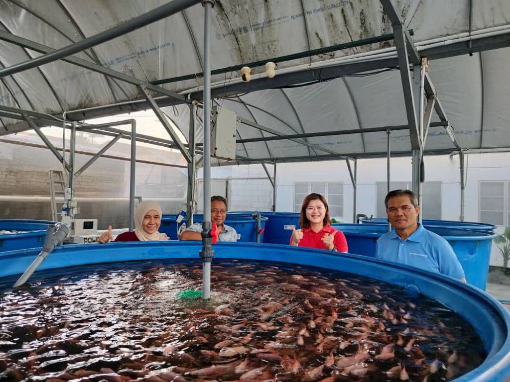 Visitors touring the fish tanks during an Aquaville farm visit
