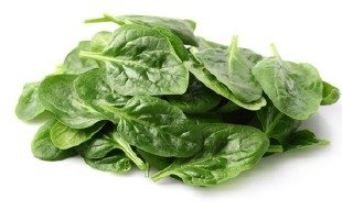 Finnish Spinach, fresh from Aquaville