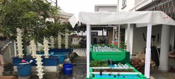 Klang, Selangor aquaponics farm project, 2020